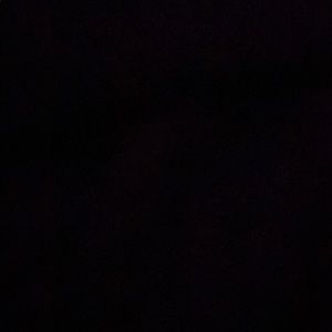 Meet your Posher, Giselle